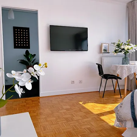 Apartment Large Charming In