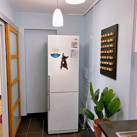 Apartment Large Charming In Paris